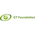 gt foundation