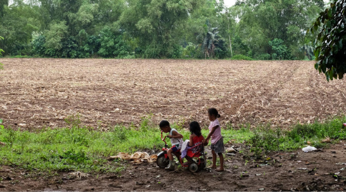 Born into the Climate Crisis